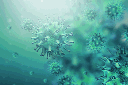 Giving viruses the cold shoulder